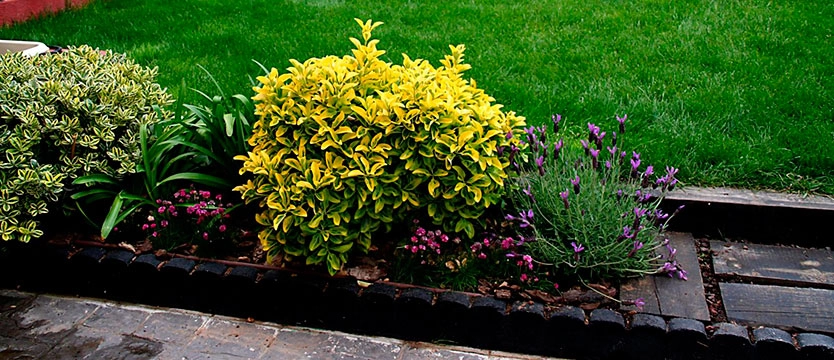jardineria_almeria
