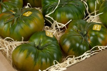 Tomate Raf Almería
