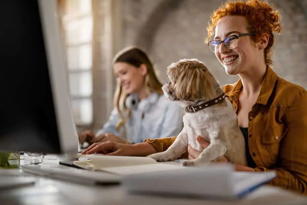 Pet-Friendly-Oficina