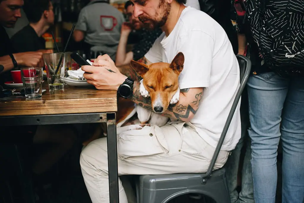 pet-friendly