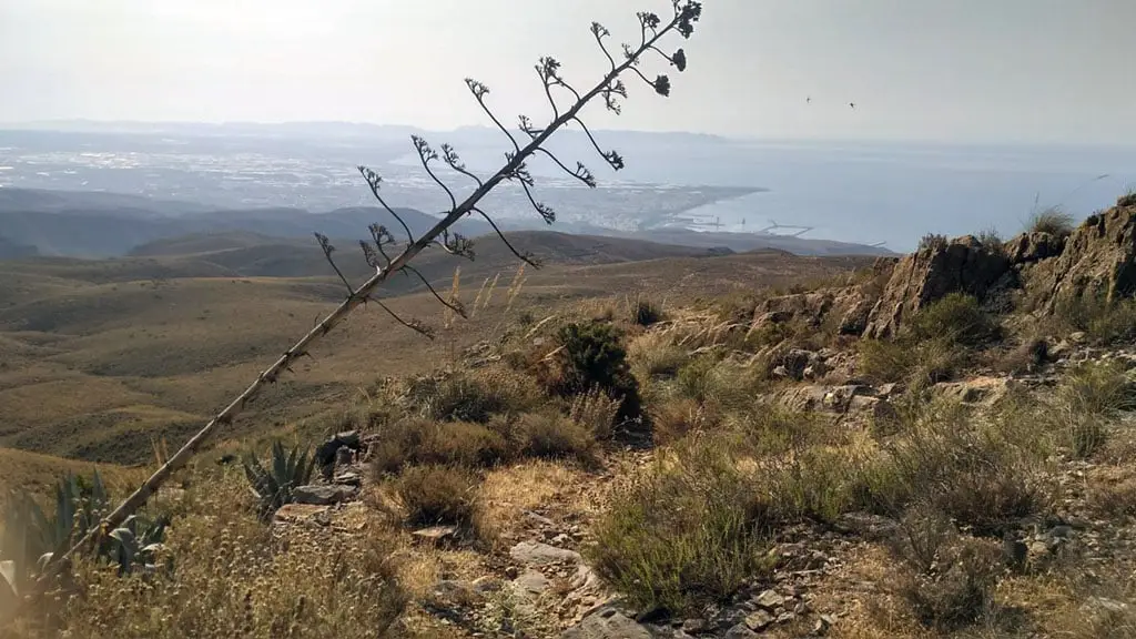 Camino Romano Almer&iacute;a