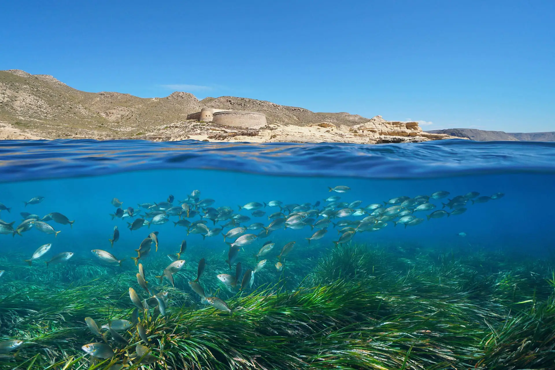 Fondos Submarinos Almería