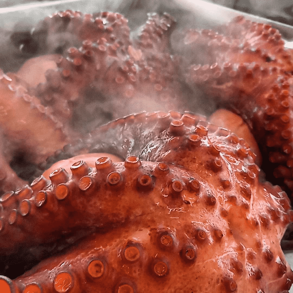 pulpo-ft-elgalleguiño
