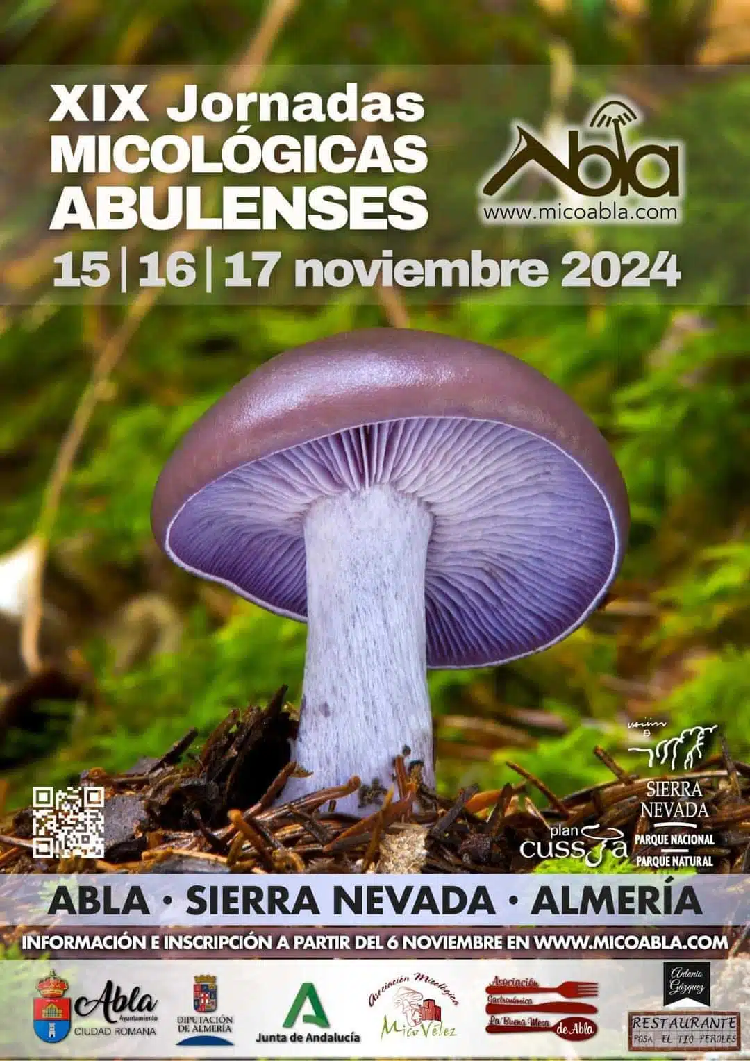 Cartel Jornadas Micol&oacute;gicas Abulenses 