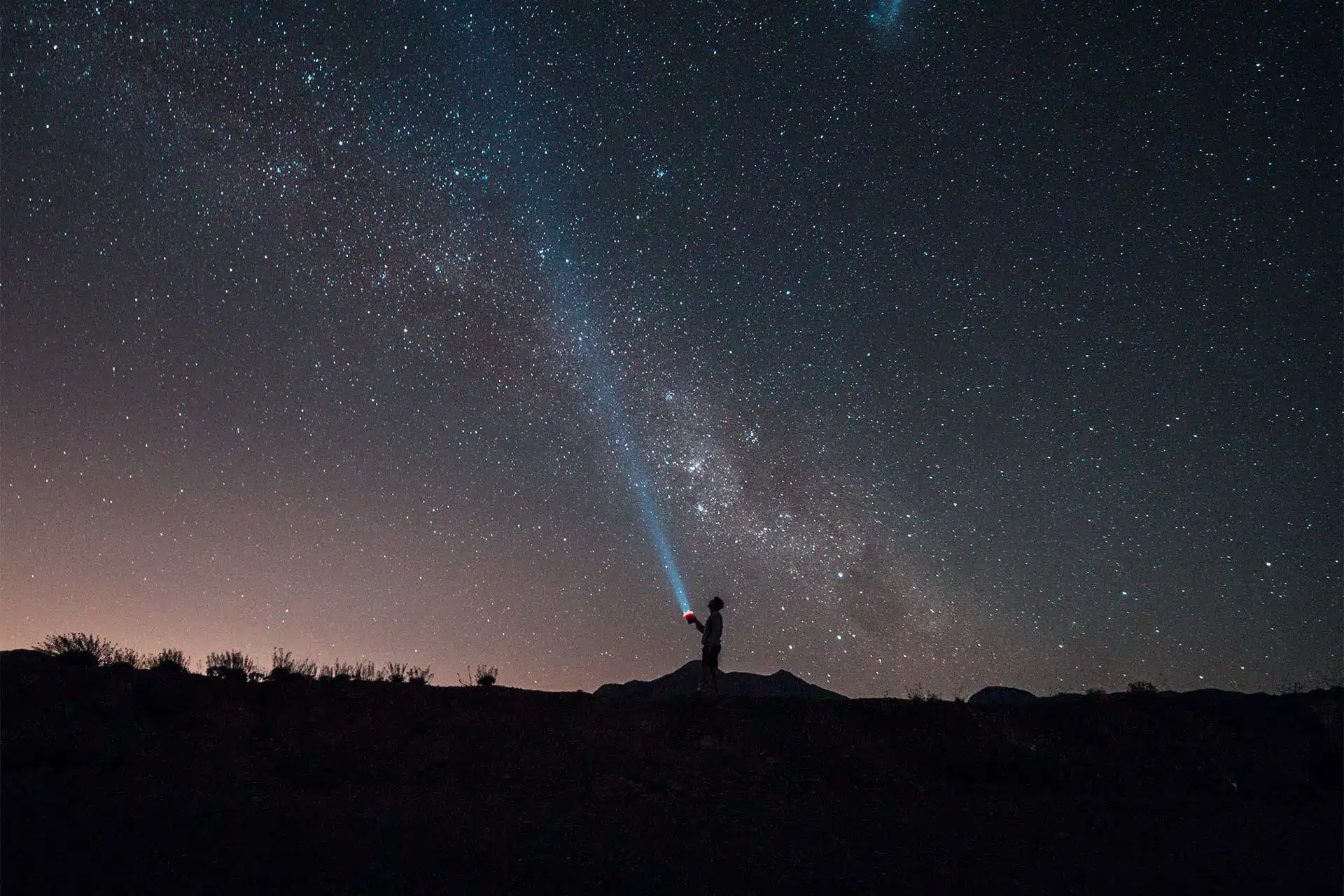 Cata Bajo las Estrellas