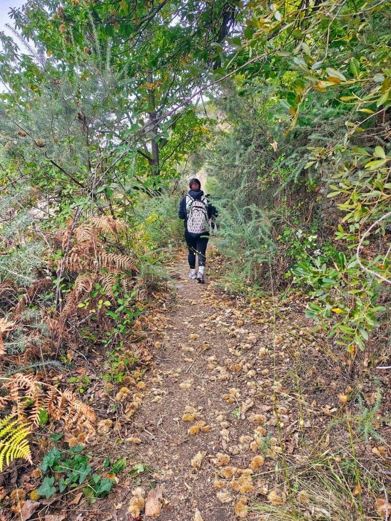 Senderismo por Paterna del Río
