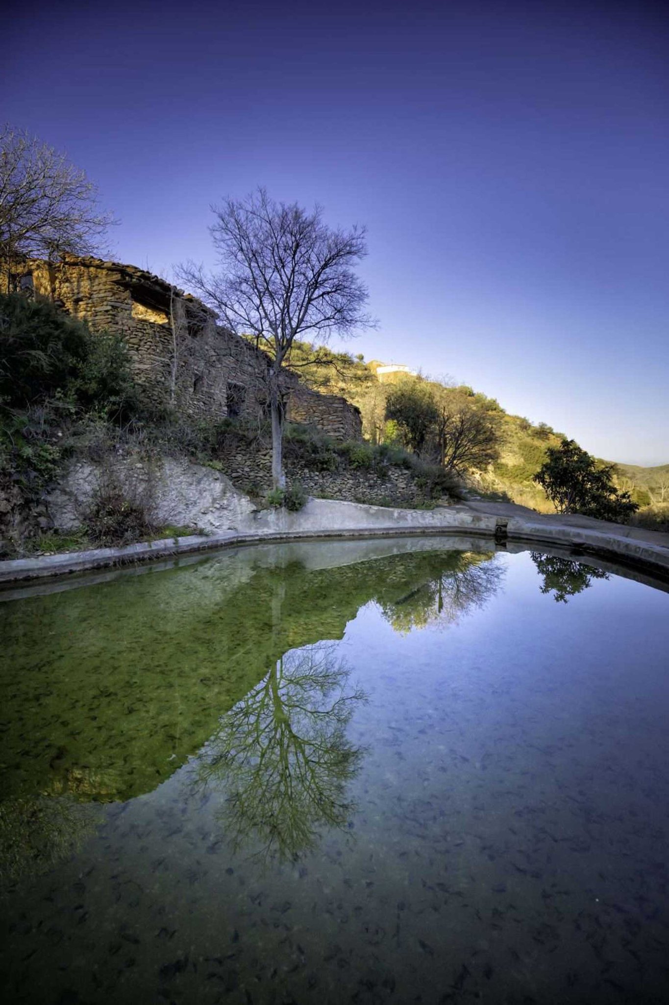 Balsa del com&uacute;n