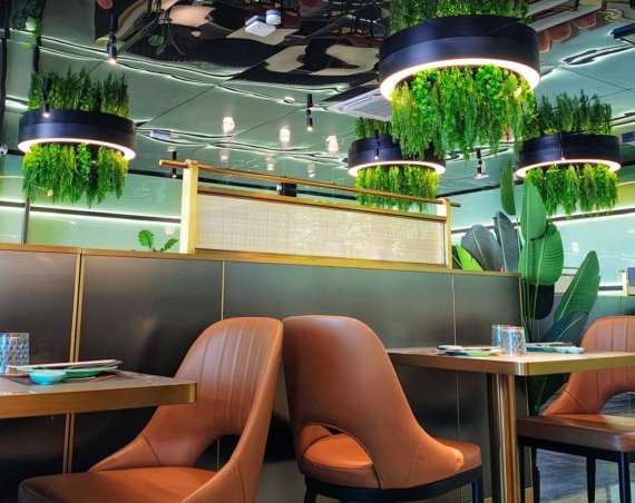 Mi Sushi buffet asiático 