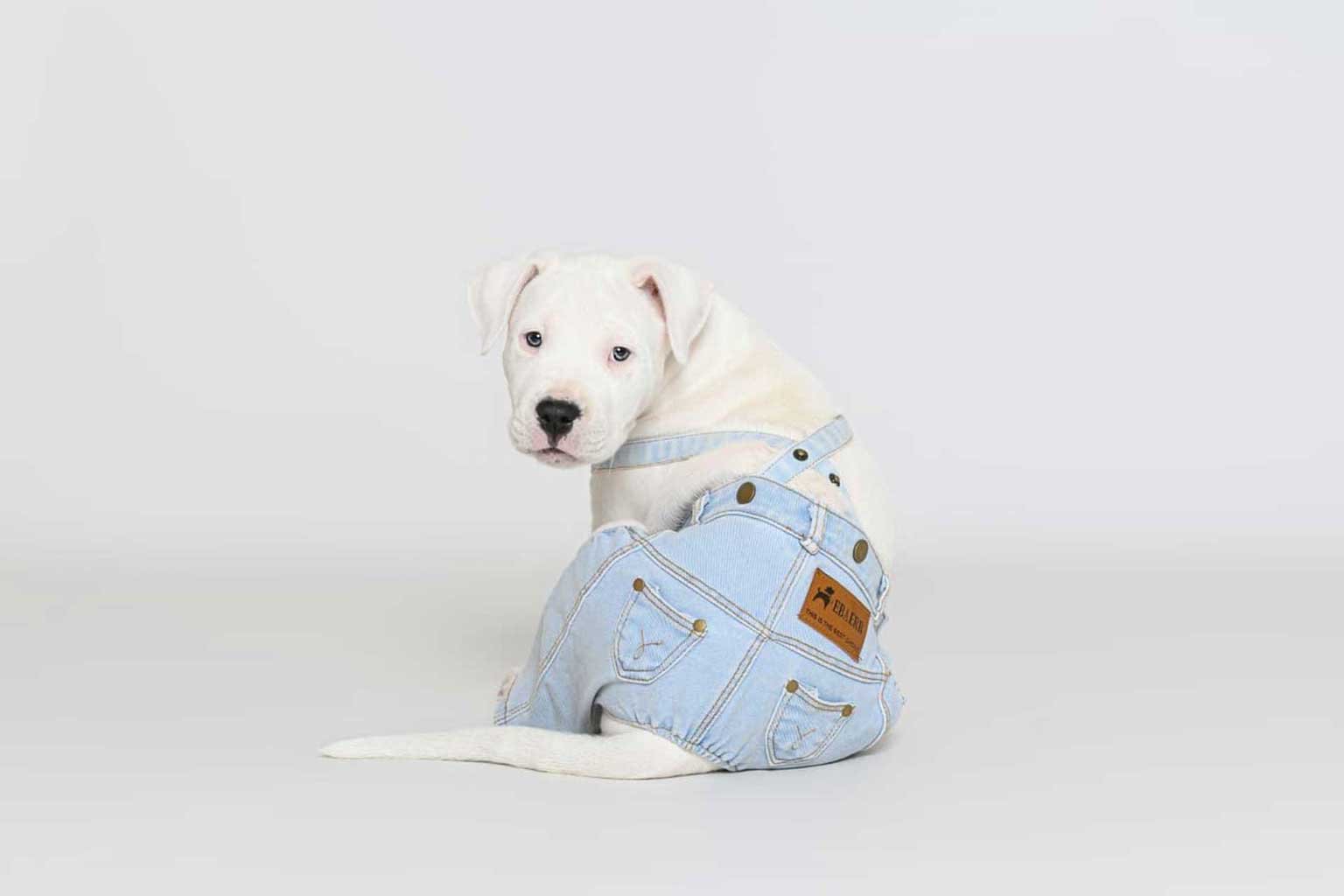 fotograf&iacute;a animal en Almer&iacute;a